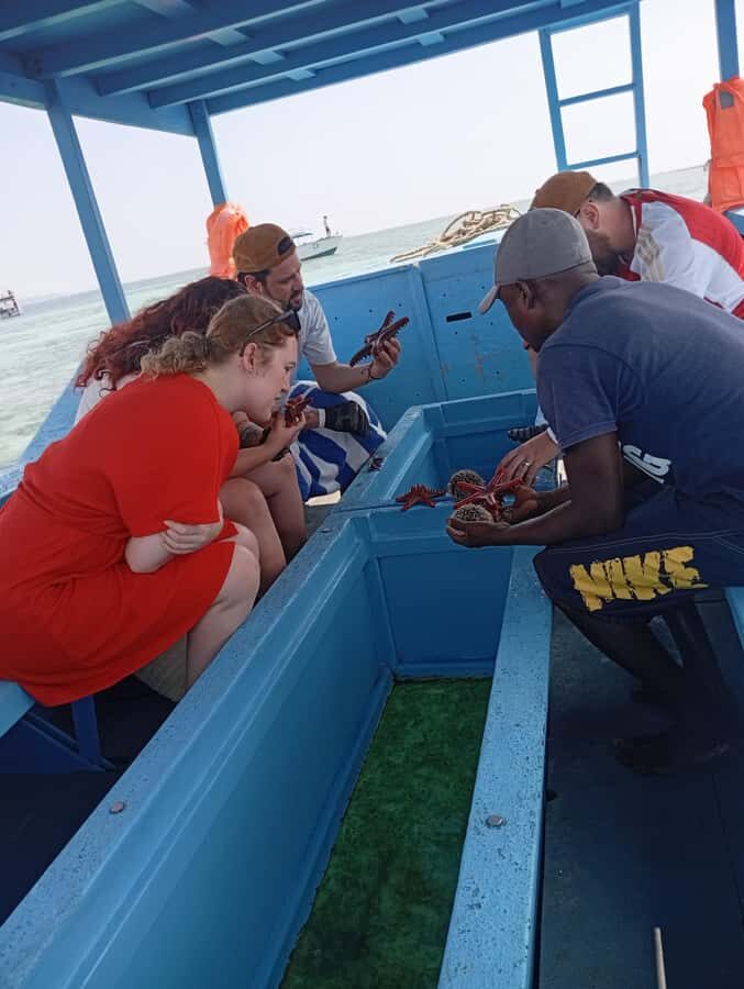 Diani Beach: Glass-Bottom Boat Cruise to Robinson Island - Why the glass-bottom cruise off Diani is a smart use of your time