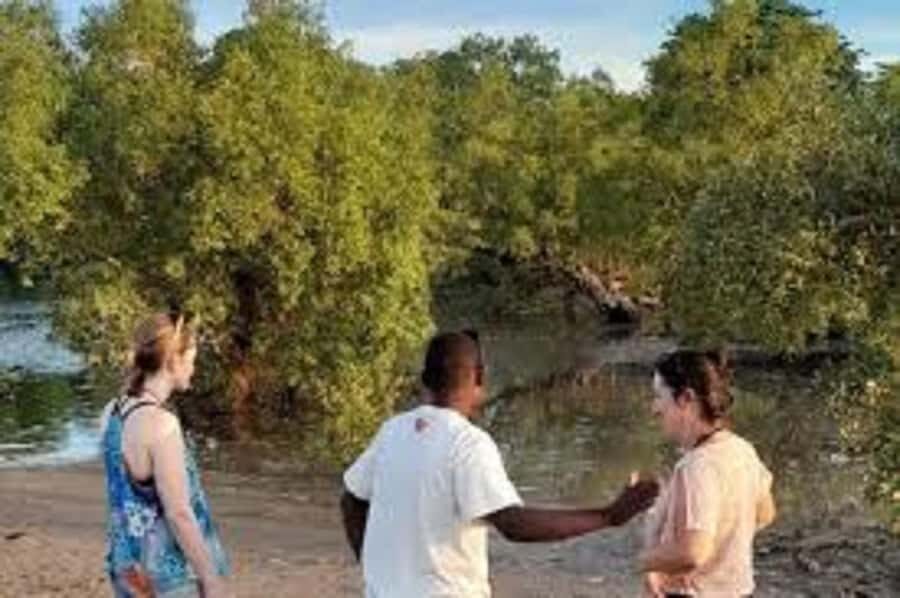 Diani Beach: Kongo River Estuary Sundowner Boat Tour - The Canoe Portion on the Kongo River Estuary