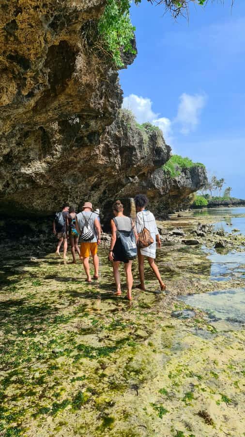 Diani Beach: Private African Pool Map Guided Tour - Price and value: what $35 per person really buys you