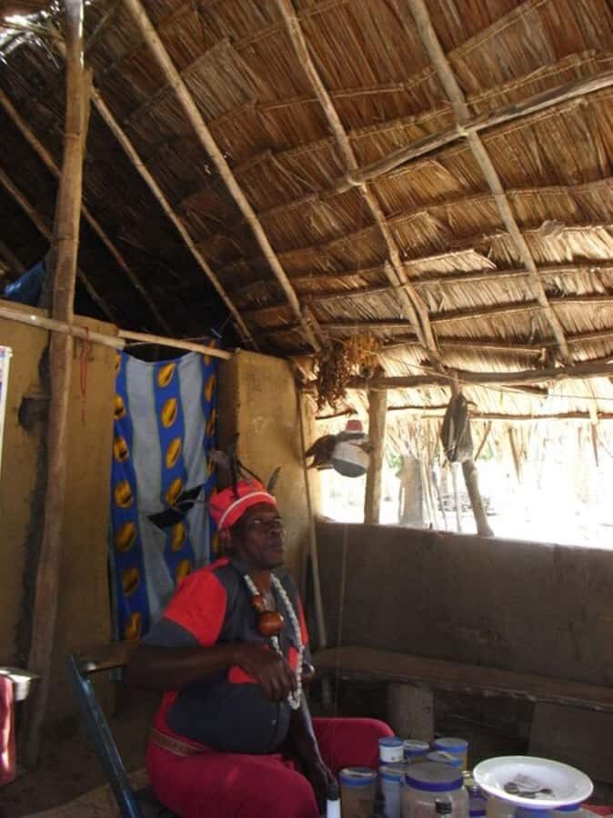 Diani bush tour - Guide and Language Options: What You Can Expect