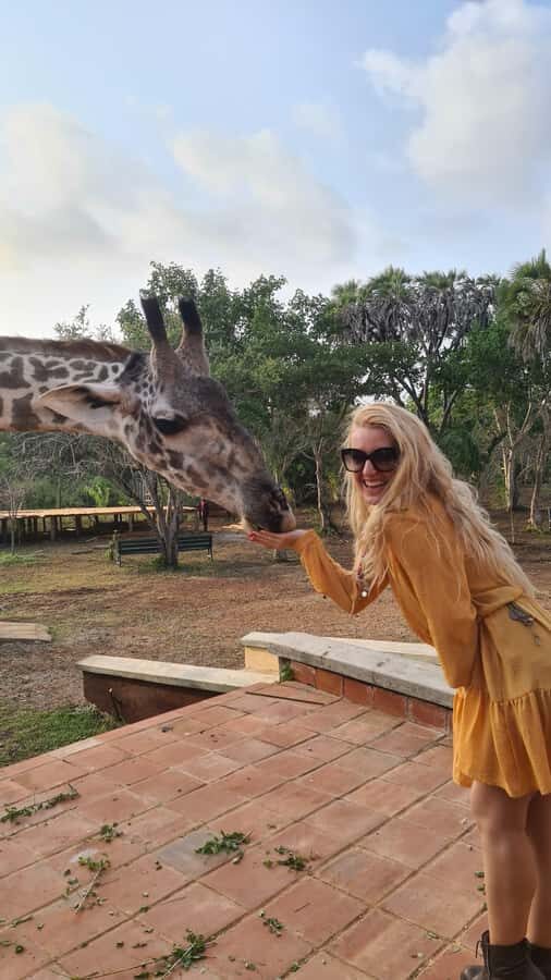DIANI: SHARE A MEAL WITH GIRAFFES - The traditional dance and shopping stop: fun, then sales energy