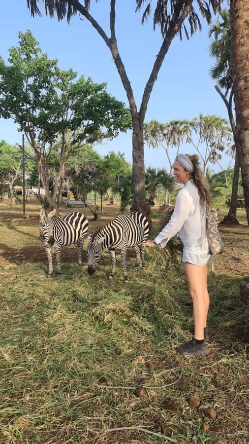 DIANI: SHARE A MEAL WITH GIRAFFES - Practical tips before you go