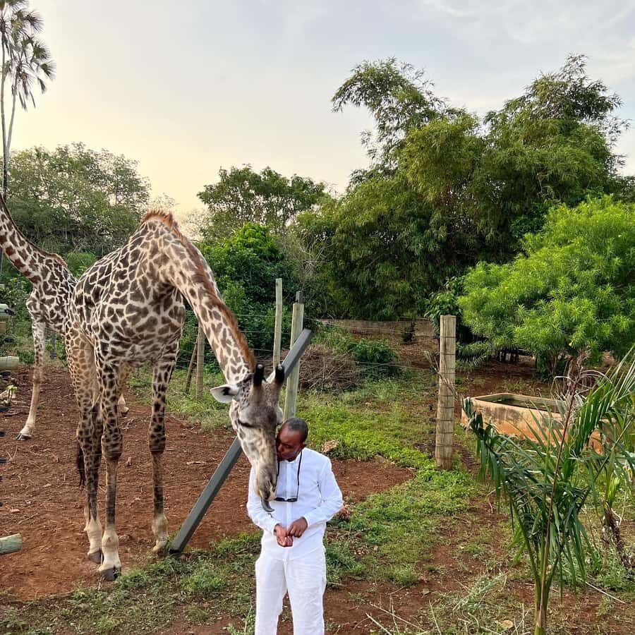 DIANI: SHARE A MEAL WITH GIRAFFES - Inside the animal park: what you actually see on the guided walk
