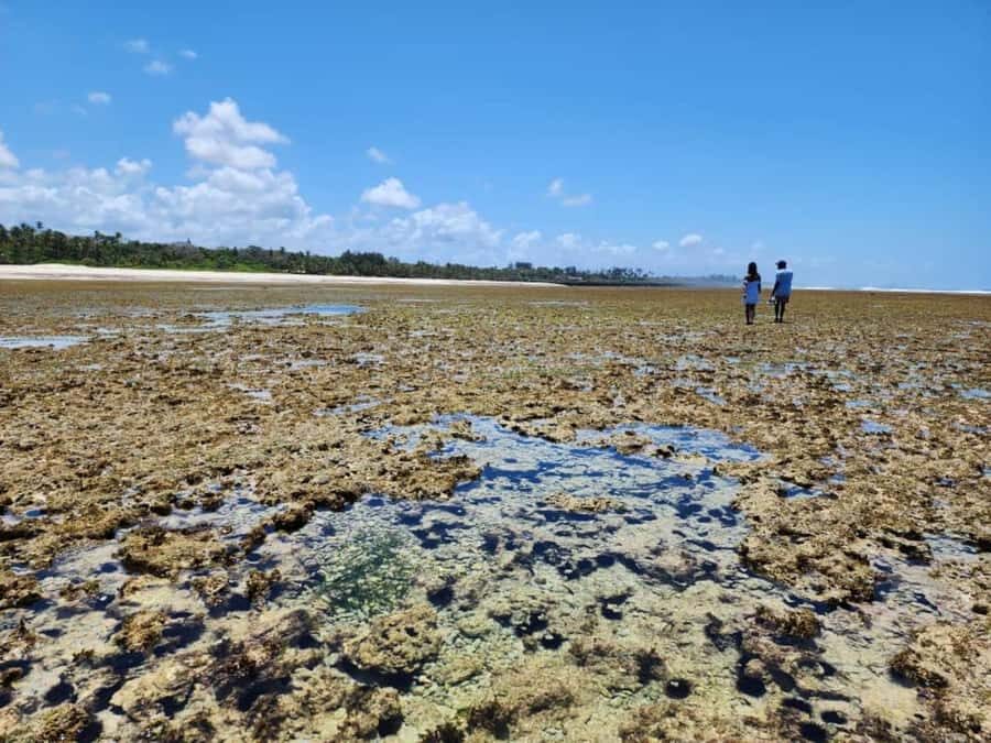 Diani: Snorkeling and Swimming at African Pool in Tiwi Beach - Reef-walk to water time: comfort tricks that make a difference