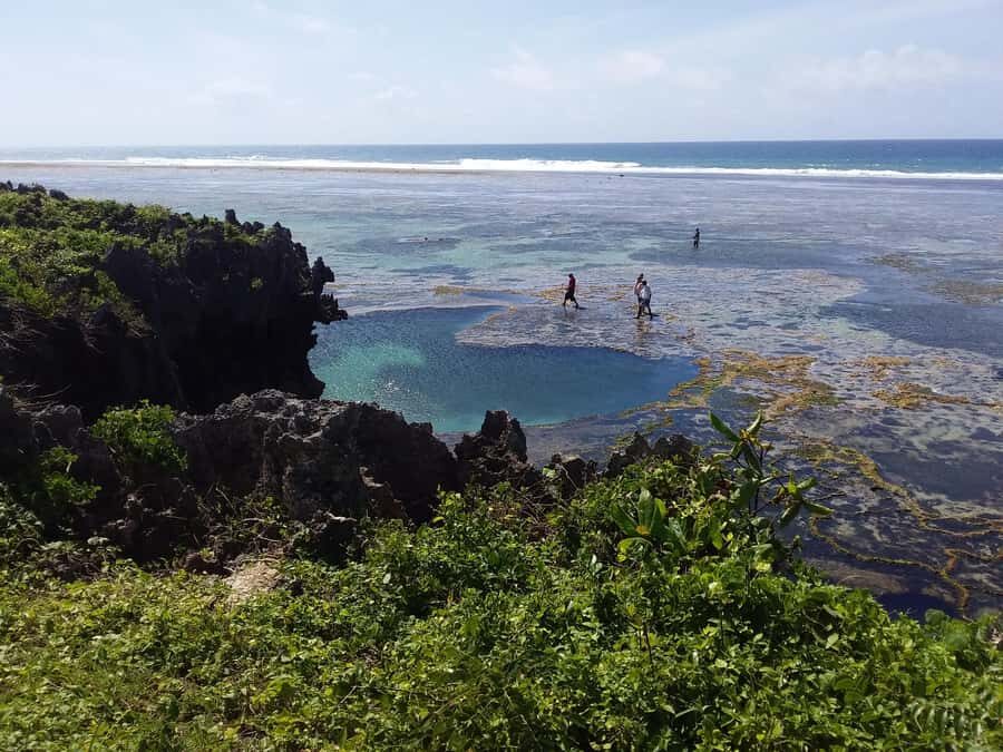Diani: Snorkeling and Swimming at African Pool in Tiwi Beach - Price and value: is $35 per person fair for 3 hours?