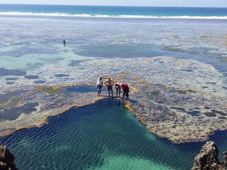 Diani: Snorkeling and Swimming at African Pool in Tiwi Beach - Should you book the Diani snorkeling at African Pool?