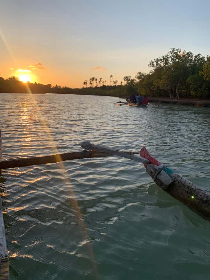 Diani: Sunset Canoe Tour along the River with Mangroves - Key Things You’ll Notice on This Diani Sunset Canoe Tour