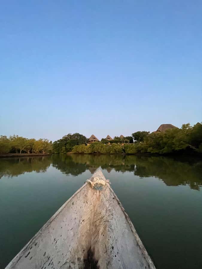 Diani: Sunset Canoe Tour along the River with Mangroves - Price and Value in Diani: What $28 Really Buys