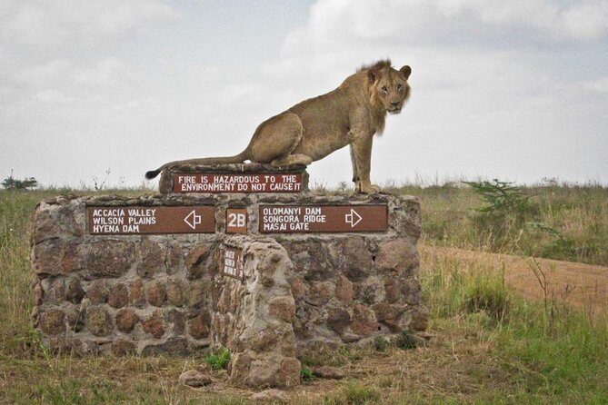 Early Morning Half Day Mini Safari To Nairobi National Park - Price and Value: Is $170 a Good Deal?