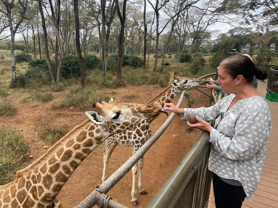Elephant Orphanage and Giraffe Center Tour with Options - Optional Add-Ons: Karen Blixen, Bomas of Kenya, and Nairobi National Park