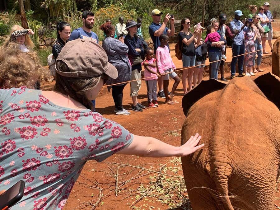 Elephant Orphanage and Giraffe Center Tour with Options - What to Bring and How to Plan Your Day
