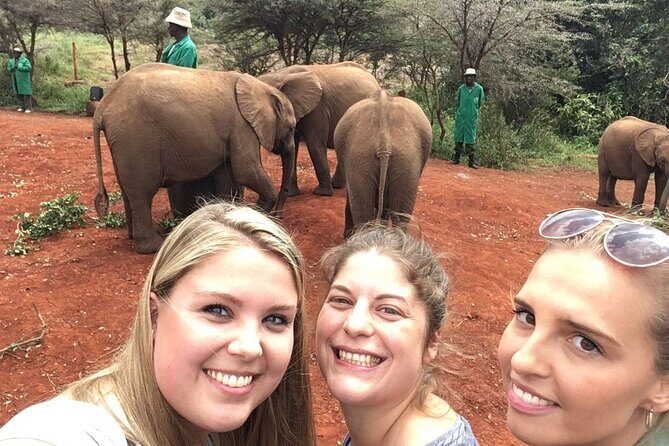 Elephant Orphanage, Giraffe Centre& optional Nairobi NationalPark - Who should book this tour?