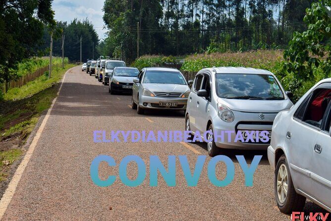 Elkydianibeachtaxis - Price and Timing: What You Pay For (and What It Saves)