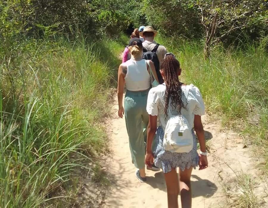 From Diani: Full Day Shimba hills tour with Sheldrick Falls - Shimba Hills National Reserve: sable antelope country and Kenya’s elephant hotspot