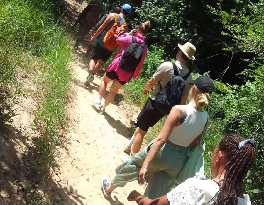 From Diani: Full Day Shimba hills tour with Sheldrick Falls - The climb to Sheldrick Falls: 300+ stairs, forest shade, and a hard-earned payoff