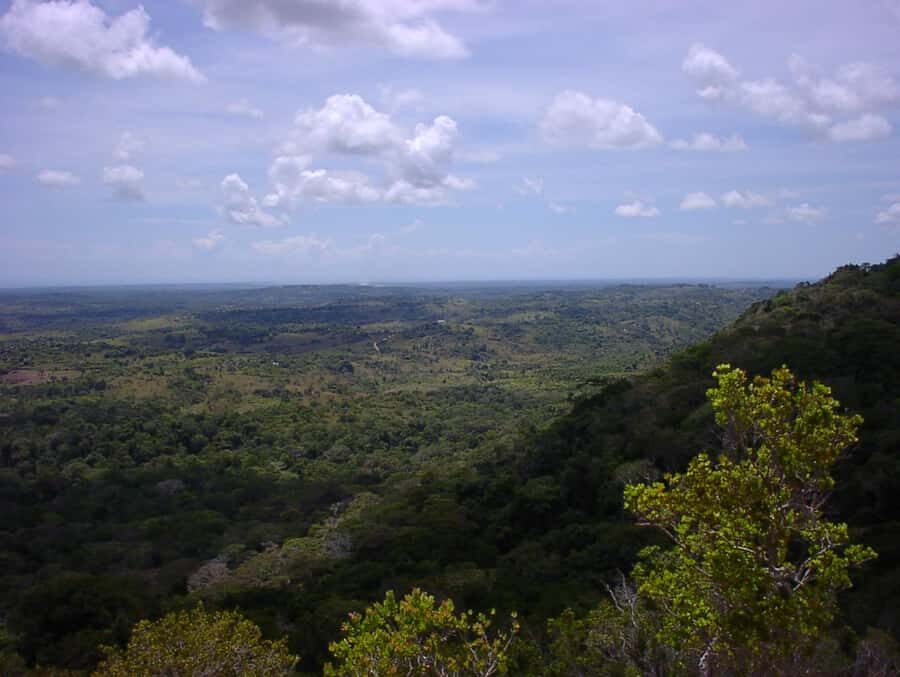 From Diani: Full Day Shimba hills tour with Sheldrick Falls - FAQ