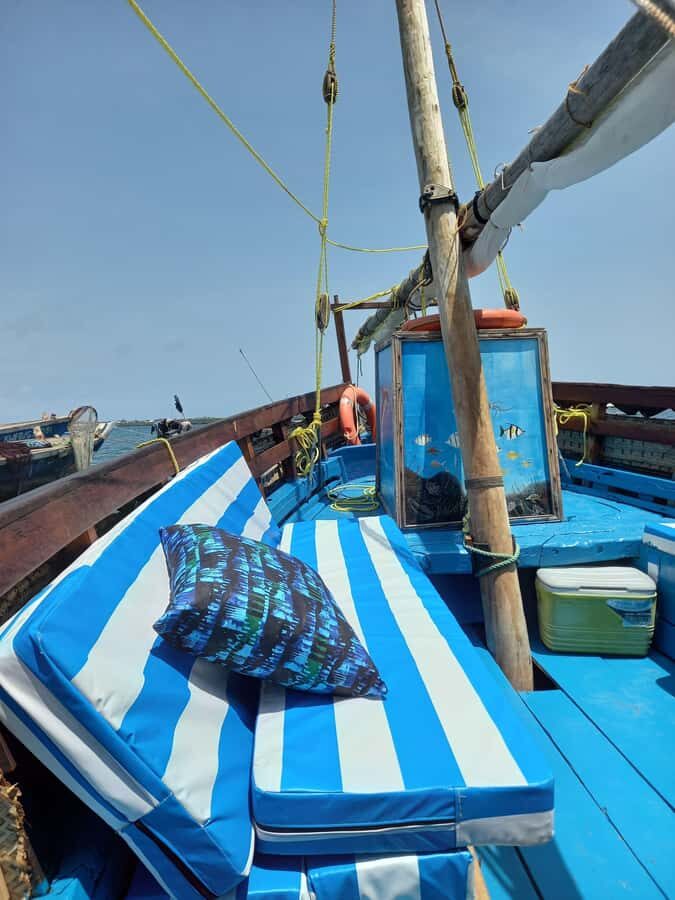 From Mombasa: Kisite Mpunguti Marine Park and Wasini Island - Key things to know before you go