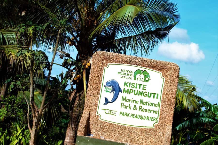 From Mombasa: Kisite Mpunguti Marine Park and Wasini Island - The dolphin search by boat: what actually happens on the water