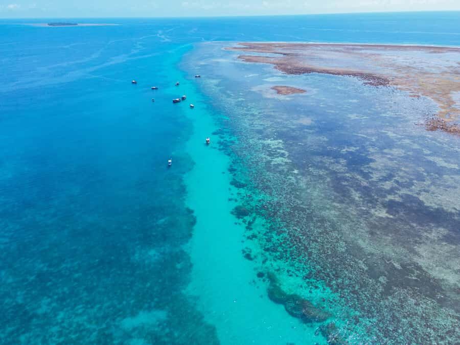 From Mombasa: Kisite Mpunguti Marine Park and Wasini Island - Wasini Island lunch, mangroves, and a short village walk