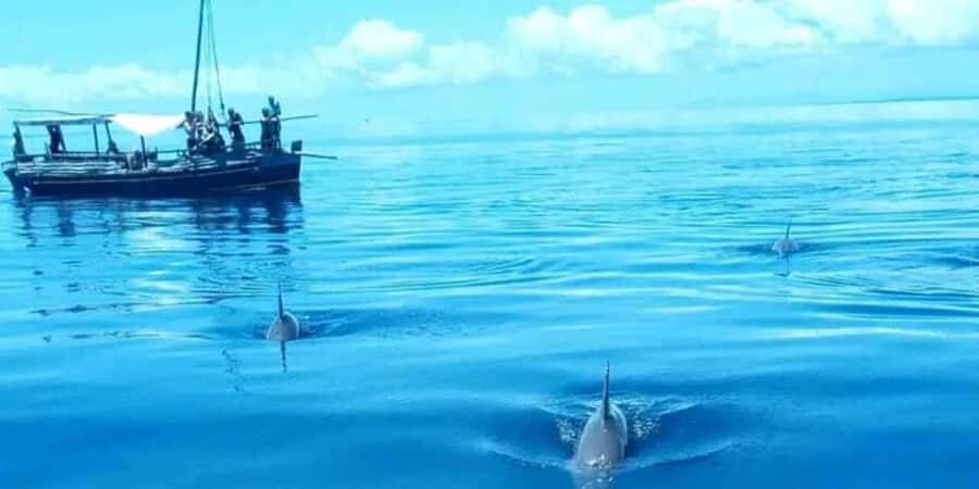From Mombasa: Kisite Mpunguti Marine Park and Wasini Island - Who should book this tour (and who should skip it)