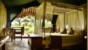 From Nairobi: 2-Day Amboseli National Park Safari - The pop-up roof safari van: seeing more without fighting for position
