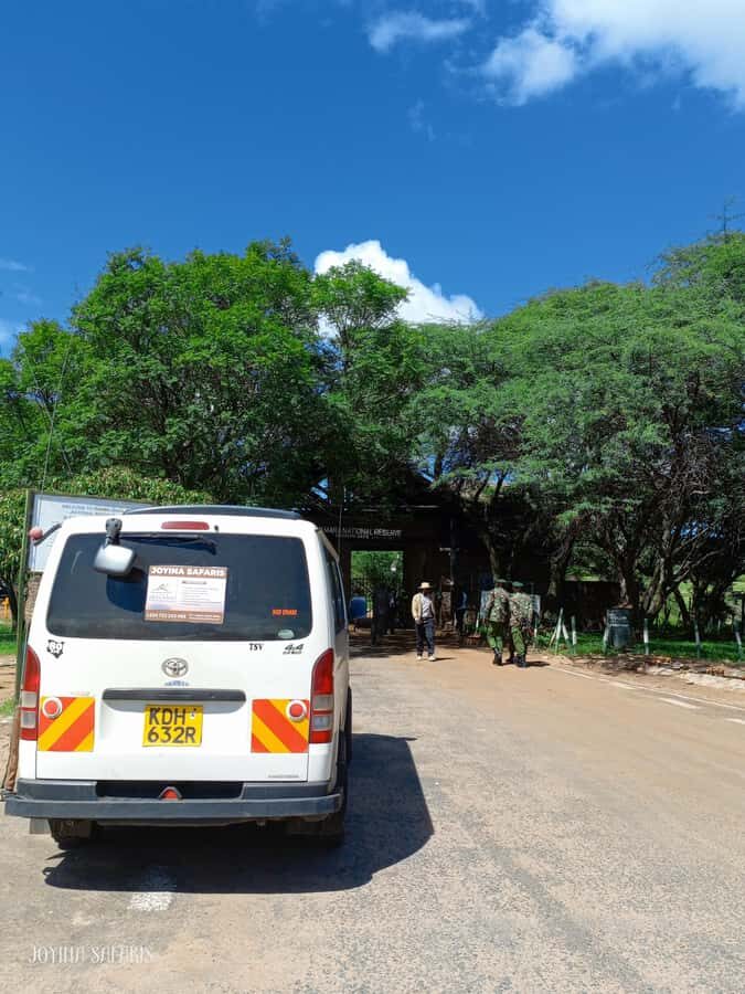 From Nairobi : 2-Days 1-Night Masai Mara Private 4WD Safari - Key Highlights You’ll Feel Day One