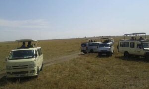 From Nairobi: 3 Days, 2 Nights Maasai Mara Group Safari - Camp Check-In: Big Private Tents, Hot Water, and Real Night Sounds