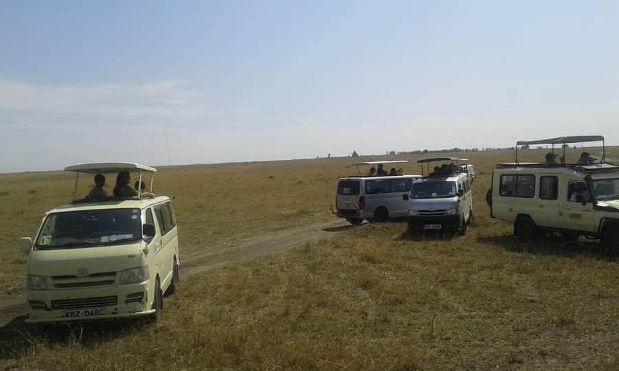 From Nairobi: 3 Days, 2 Nights Maasai Mara Group Safari - Camp Check-In: Big Private Tents, Hot Water, and Real Night Sounds