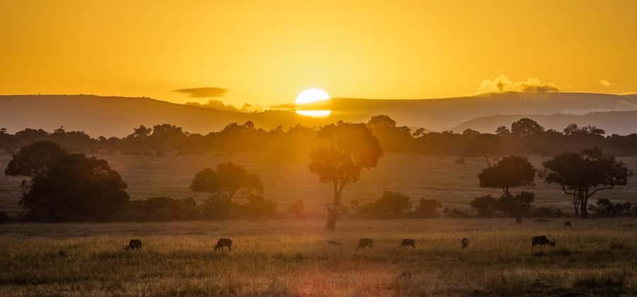 From Nairobi: 3 Days 2 Nights Masai Mara Group Safari - Entering Maasai Mara from Nairobi: the drive starts the story