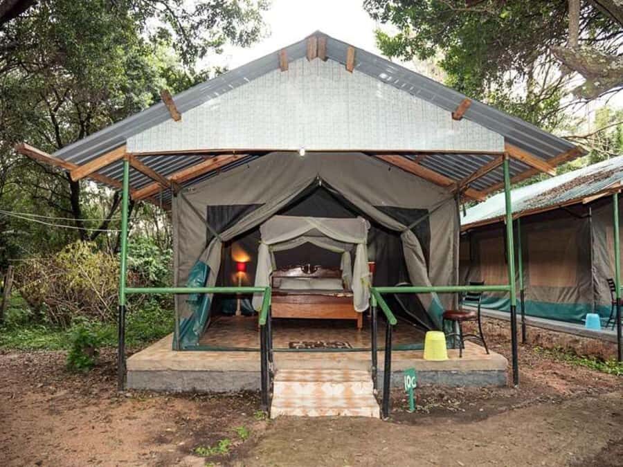 From Nairobi: 3 Days 2 Nights Masai Mara Group Safari - Park fees and budgeting: the part that can surprise first-timers