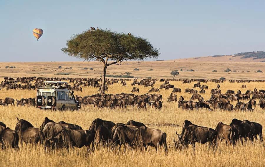 From Nairobi: 4-Day Maasai Mara and Lake Nakuru Group Safari - Jeep time, guides, and how to get better sightings in a group of 15