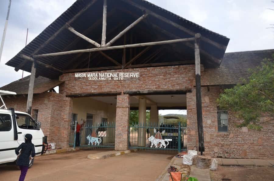 From Nairobi: 7 Days Masai Mara, Nakuru, and Amboseli Safari - Day 2: Masai Mara full day for Big Five spotting and the river crossing drama