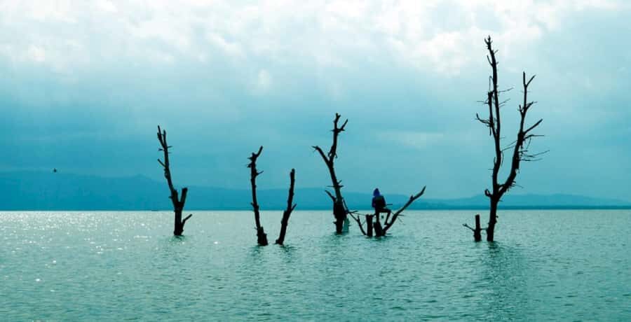 From Nairobi: Lake Naivasha and Hell's Gate Park Day Tour - Who should book this day trip (and who should adjust expectations)