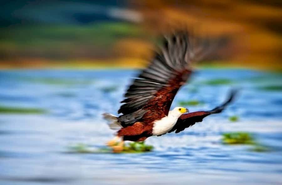 From Nairobi: Lake Naivasha and Hell's Gate Park Day Tour - Timing and what to pack for this kind of day