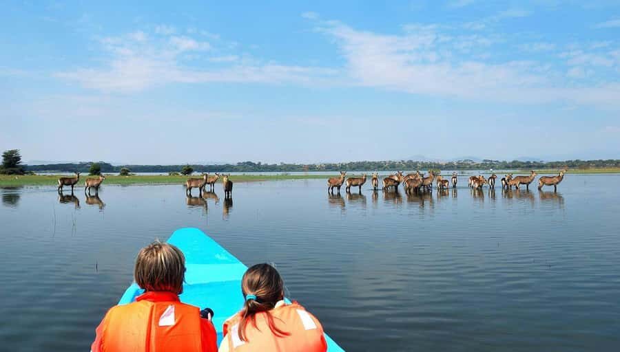 From Nairobi: Lakes Nakuru & Naivasha National Park Day Tour - The 6 a.m. start: Nairobi to Lake Nakuru without losing the day