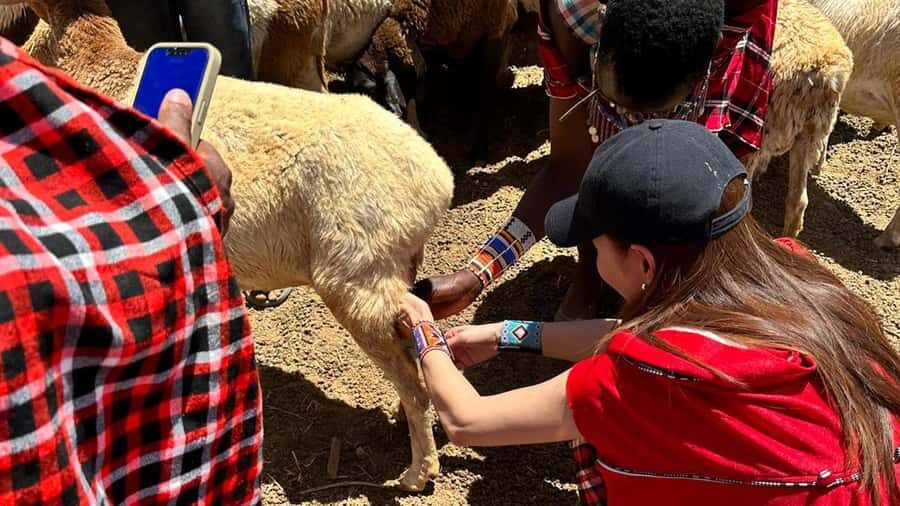 From Nairobi: Maasai Village Experience Day Tour - The Optional School Visit: A Chance to Encourage Kids
