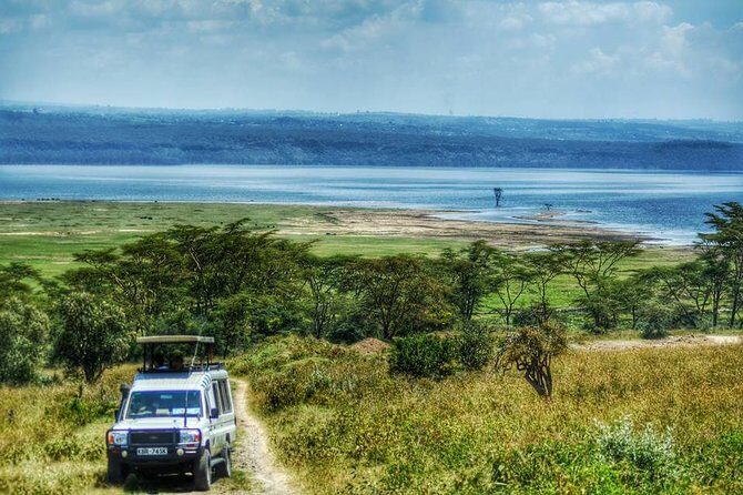 Full Day Lake Nakuru Park and optional boat ride on Lake Naivasha - Timing, comfort, and the “can you handle it” checklist