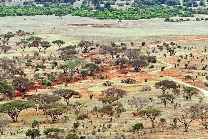 Full Day Private Tour of Tsavo East National Park from Mombasa - Aruba Dam: the short stop that often does heavy lifting
