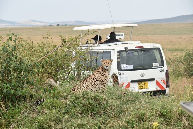 Full Day Private Tour of Tsavo East National Park from Mombasa - Extras that might show up: Maasai Village and small detours