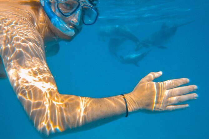 Full-Day Special Wasini Island Tour with Snorkeling and Lunch - Key highlights at a glance