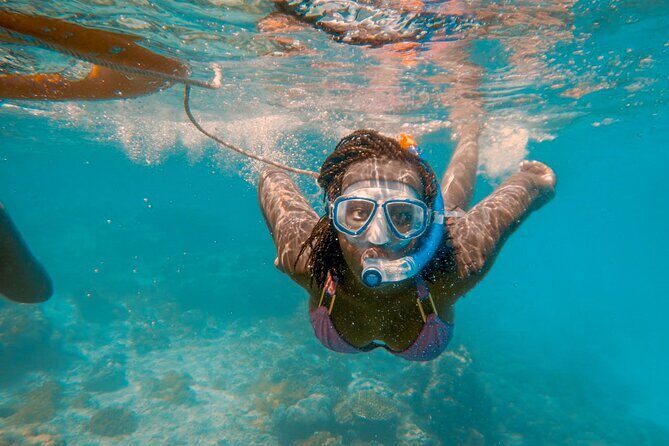 Full-Day Special Wasini Island Tour with Snorkeling and Lunch - Wasini Island with Kisite-Mpunguti: why this route works