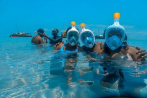 Full-Day Special Wasini Island Tour with Snorkeling and Lunch - Kisite-Mpunguti Marine National Park: snorkeling that feels guided