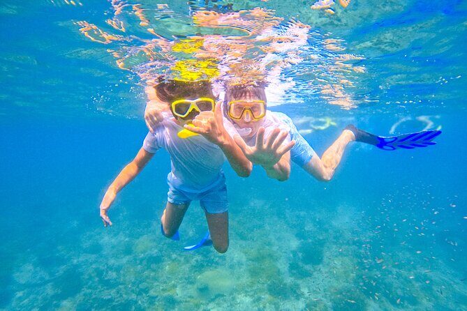 Full-Day Special Wasini Island Tour with Snorkeling and Lunch - Wasini Island: coral garden time and lunch on the island
