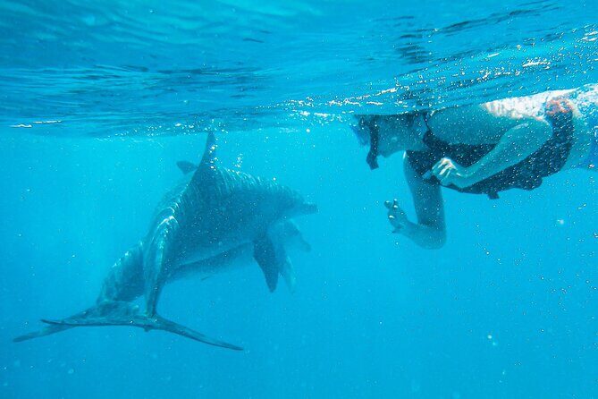Full-Day Special Wasini Island Tour with Snorkeling and Lunch - Who should book this Wasini Island tour