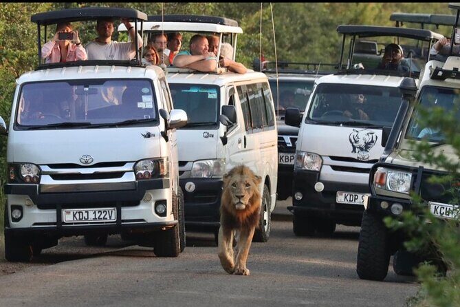 Full Day Tour in Amboseli National Park from Nairobi - Game drives in Amboseli: what to look for and what good guiding changes