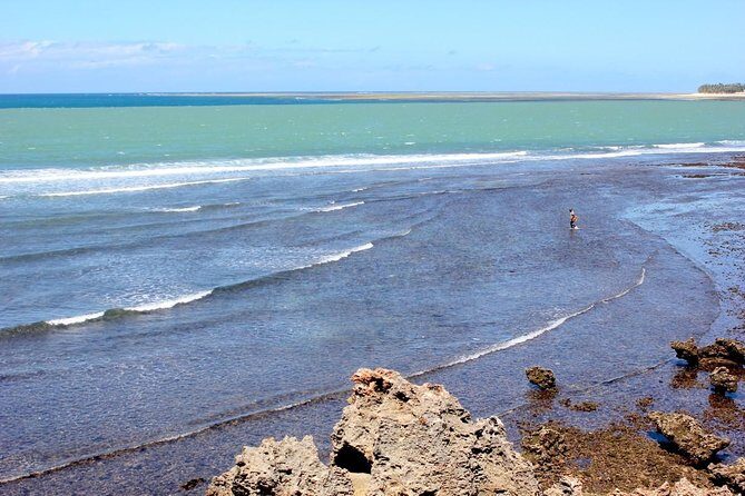 Full-Day Tour of Mombasa - A Smooth Morning With Hotel Pickup at 8:00