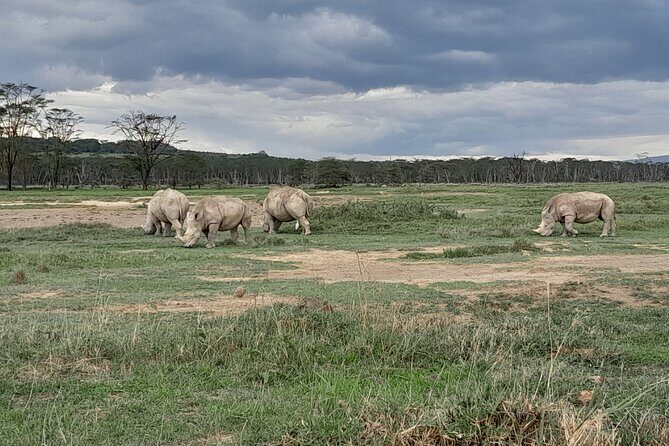 Full Day tour to Lake Nakuru National Park From Nairobi - Price and Value: What $160 Includes (and What Costs Extra)