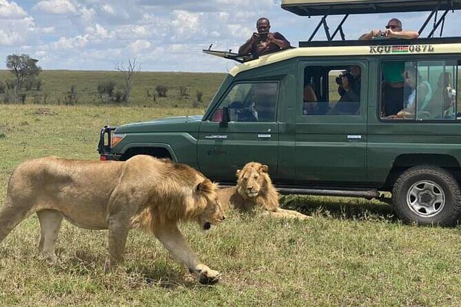 Full Day tour to Lake Nakuru National Park From Nairobi - FAQ