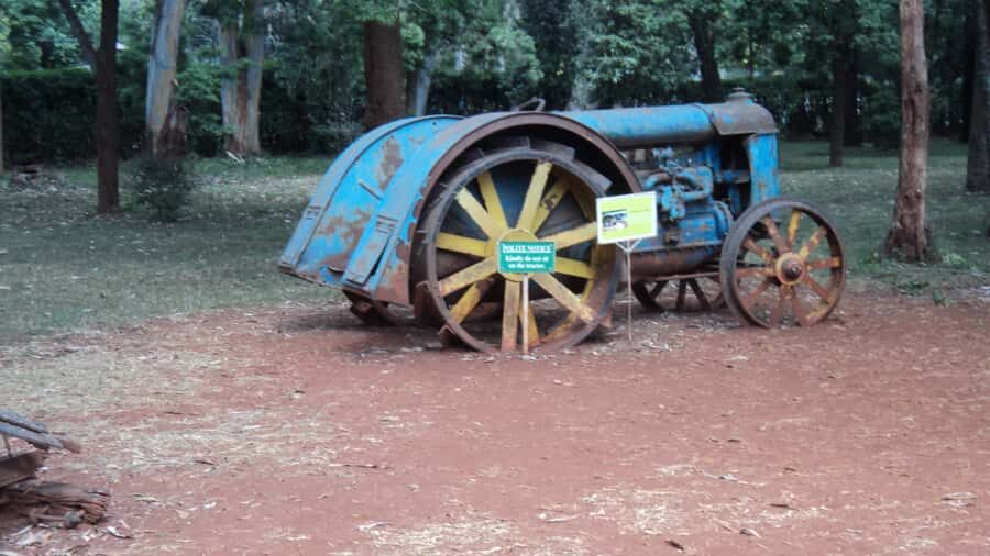 Giraffe Center and Karen Blixen Museum Tour from Nairobi - Key things to know before you go