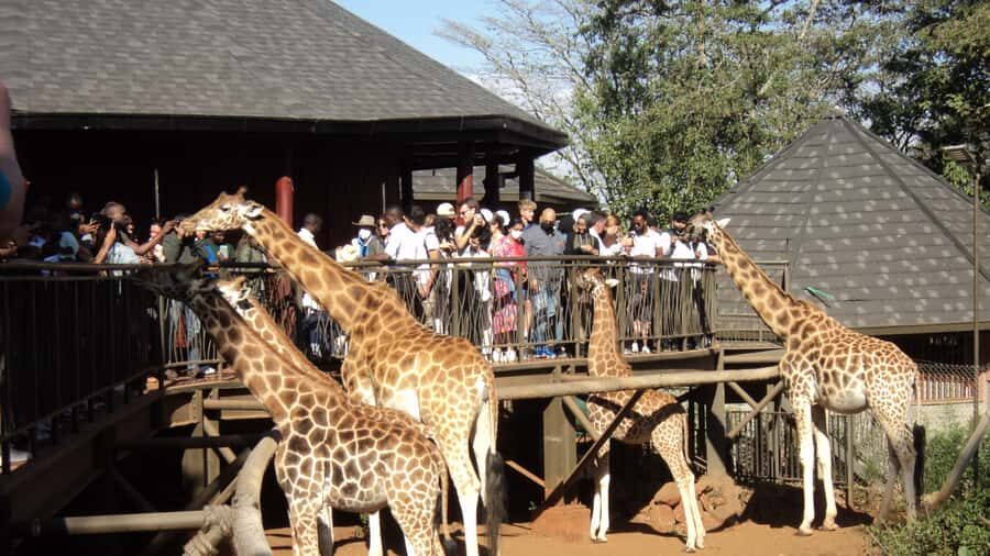 Giraffe Center and Karen Blixen Museum Tour from Nairobi - Beads and craft shopping near the museum: souvenirs that actually feel connected